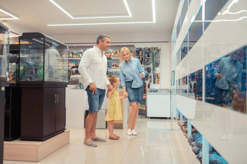 Installer un osmoseur dans un magasin d'aquariophilie à Calais