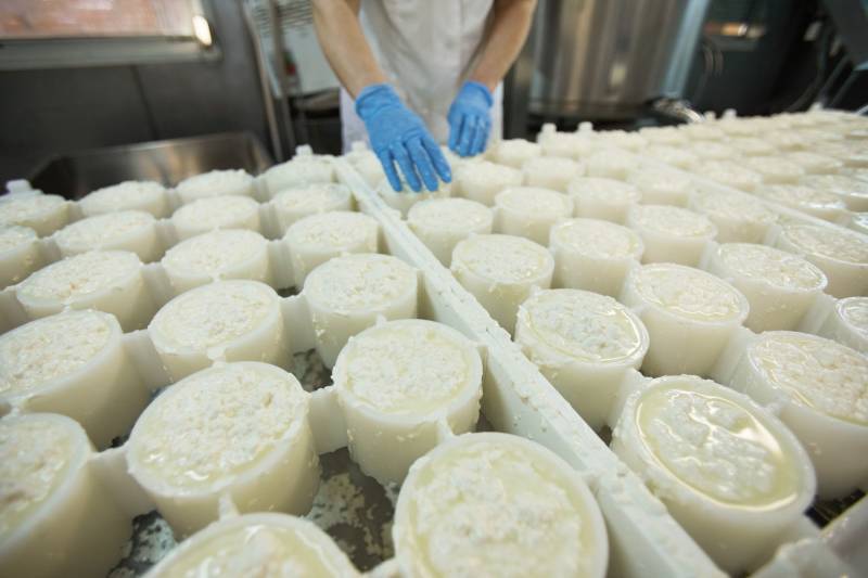 Adoucir l'eau dans une fromagerie artisanale à Dieppe