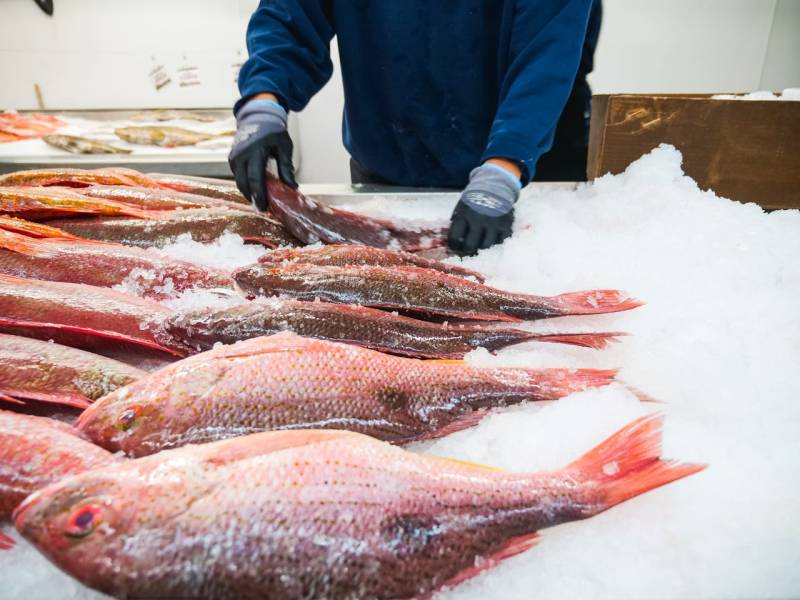 Installer un système de filtration adapté à une poissonnerie à Calais